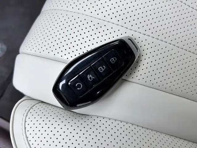 Denza Z9 2024 Model 1100km AWD Max Edition фото 21