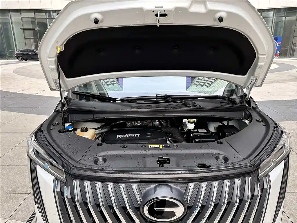 GAC Trumpchi Trumpchi M8 2024 Master Series 400T Premium Edition фото 26