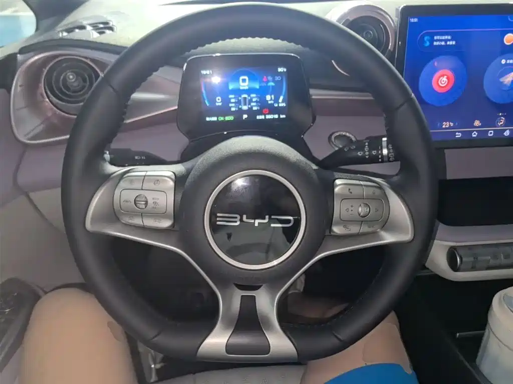 BYD Dolphin 2023 401km Knight Edition фото 11
