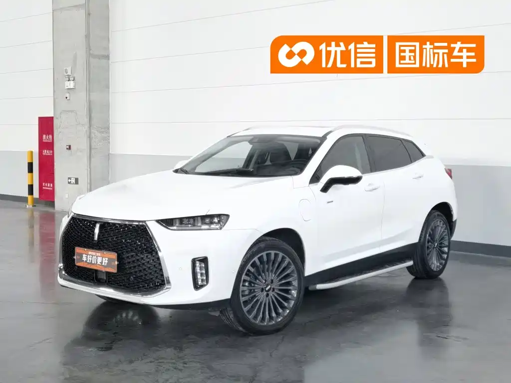 2018 WEY P8