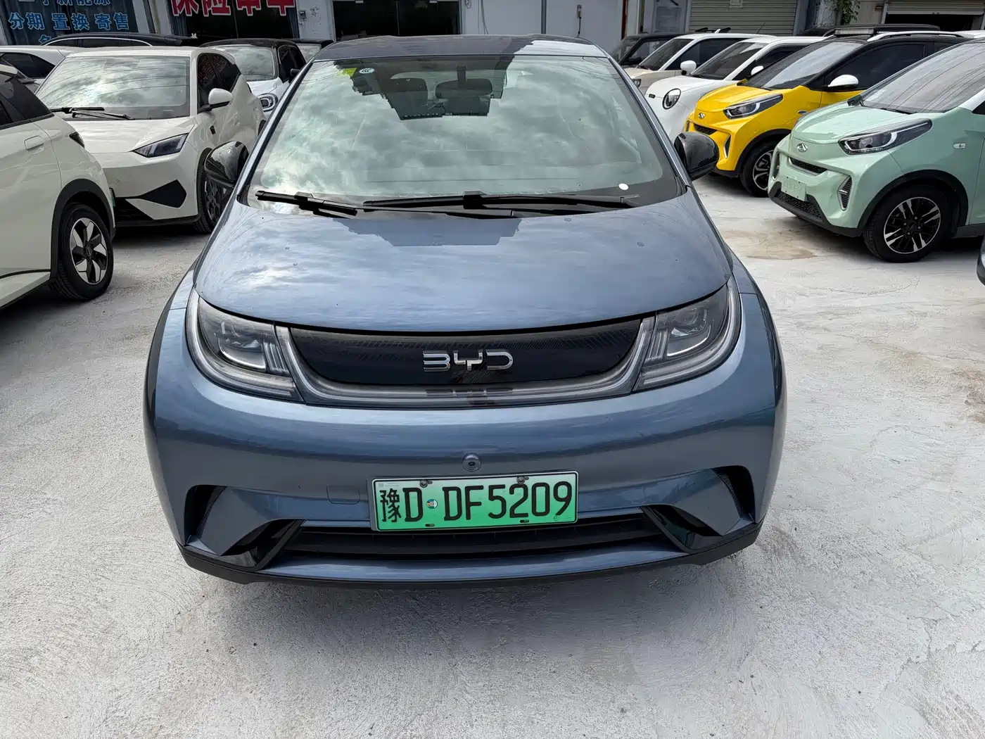 2026 BYD Dolphin