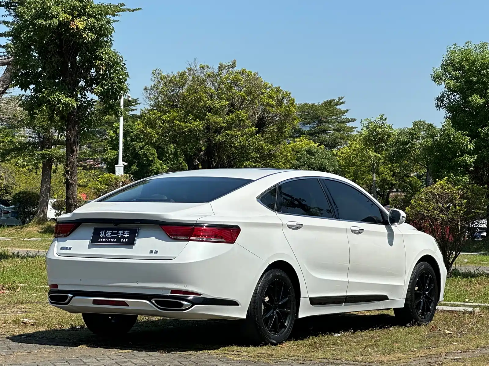 Фото 26 - Geely Borui