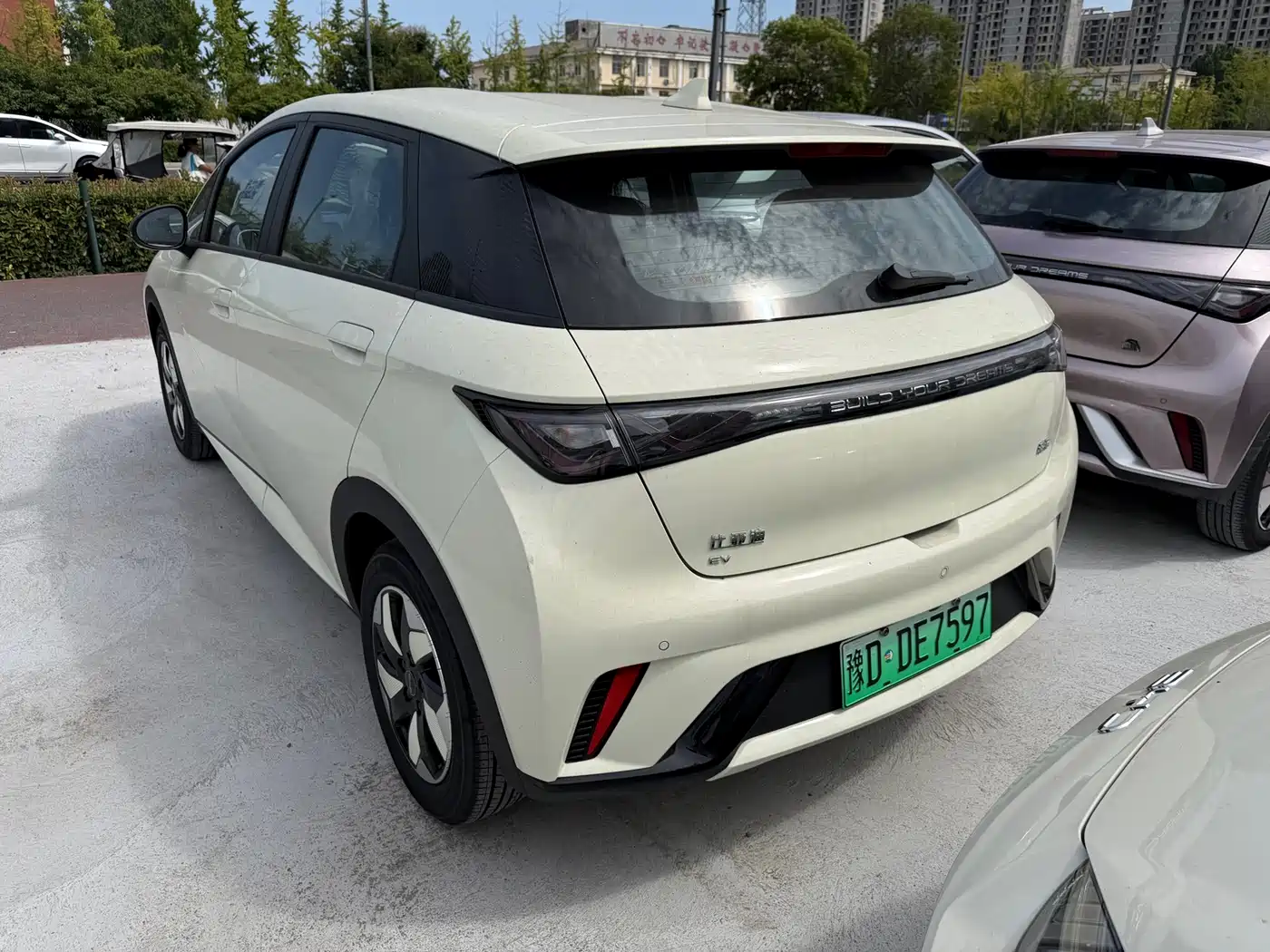 BYD Dolphin 2026 2025 420km Freedom Edition