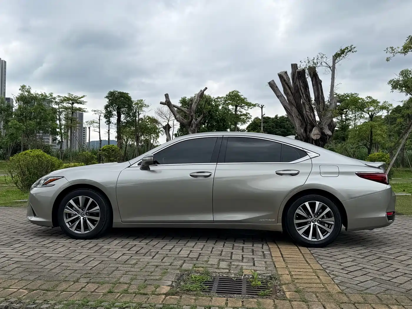Lexus ES 2018 300h Excellence Edition China V фото 19