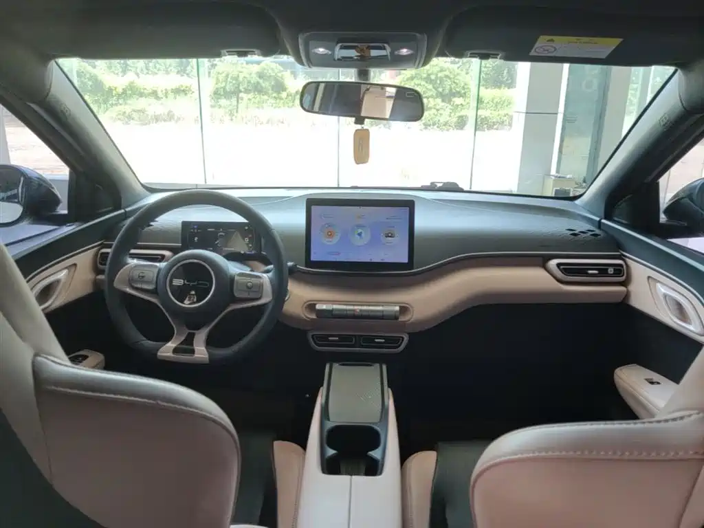BYD Seagull 2023 Vitality Edition фото 10