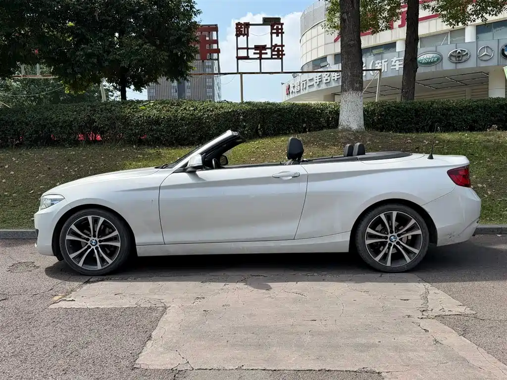 BMW 2 Series (Import) 2019 225i Convertible Coupe Sport Design Package фото 3