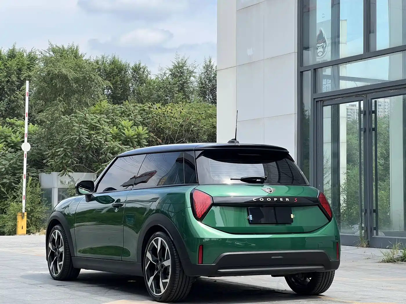 MINI MINI 2025 2025 2.0T COOPER S Artist