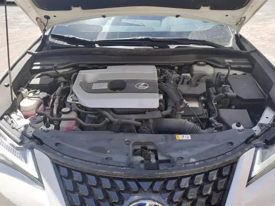 Lexus UX 2020 260h Explore Cool Edition фото 10