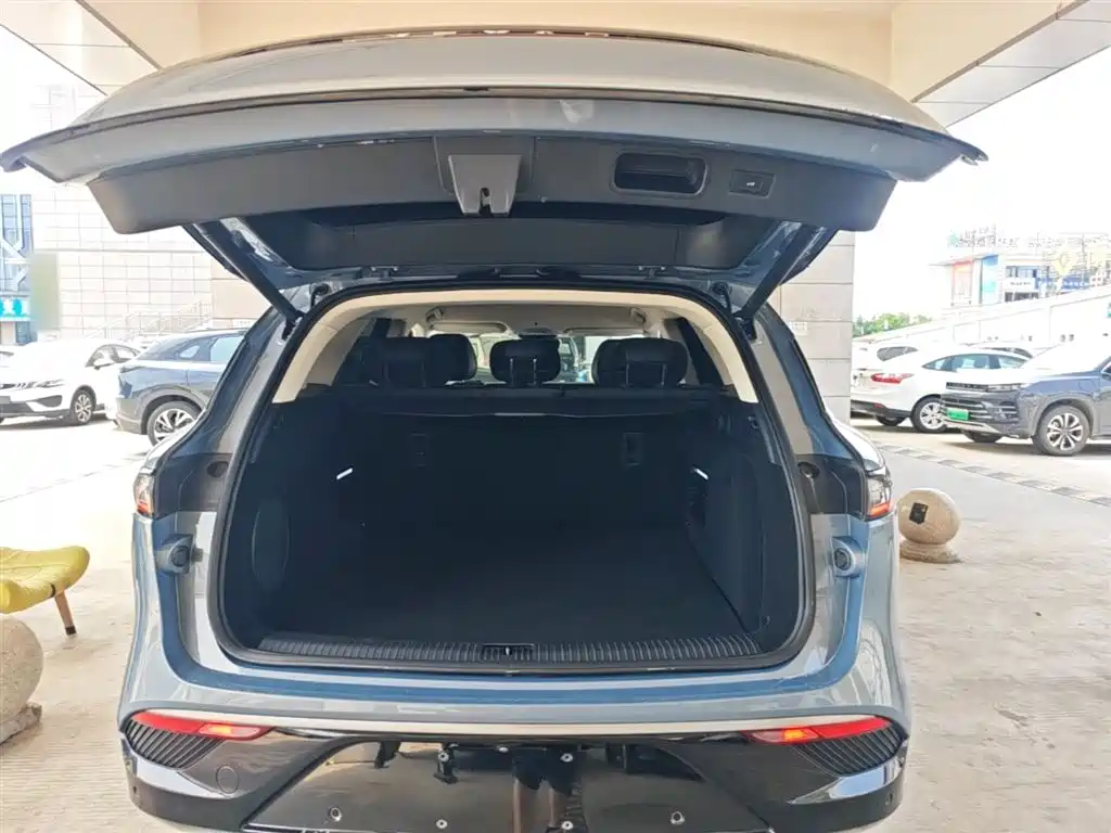 Voyah Auto VOYAH FREE 2021 AWD Standard Range Extender Exclusive Luxury Package фото 19