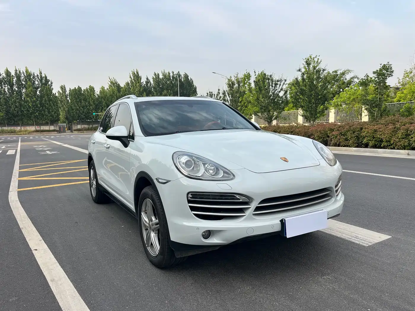 Porsche Cayenne 2014 Cayenne Platinum Edition 3.0T фото 3