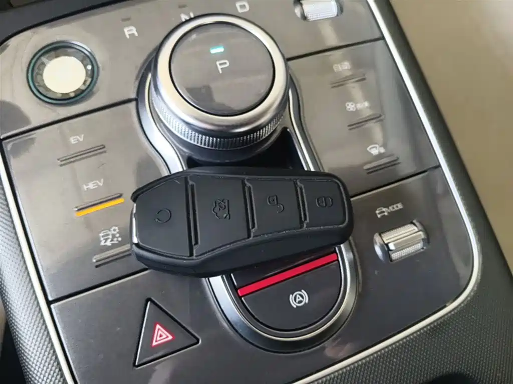BYD Destroyer 05 2023 Champion Edition DM-i 55KM Luxury фото 9