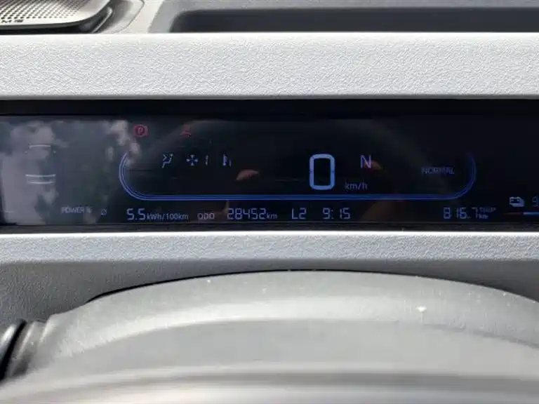 Geely Galaxy Panda 2023 Panda Mini 200km Endurance Bear фото 9