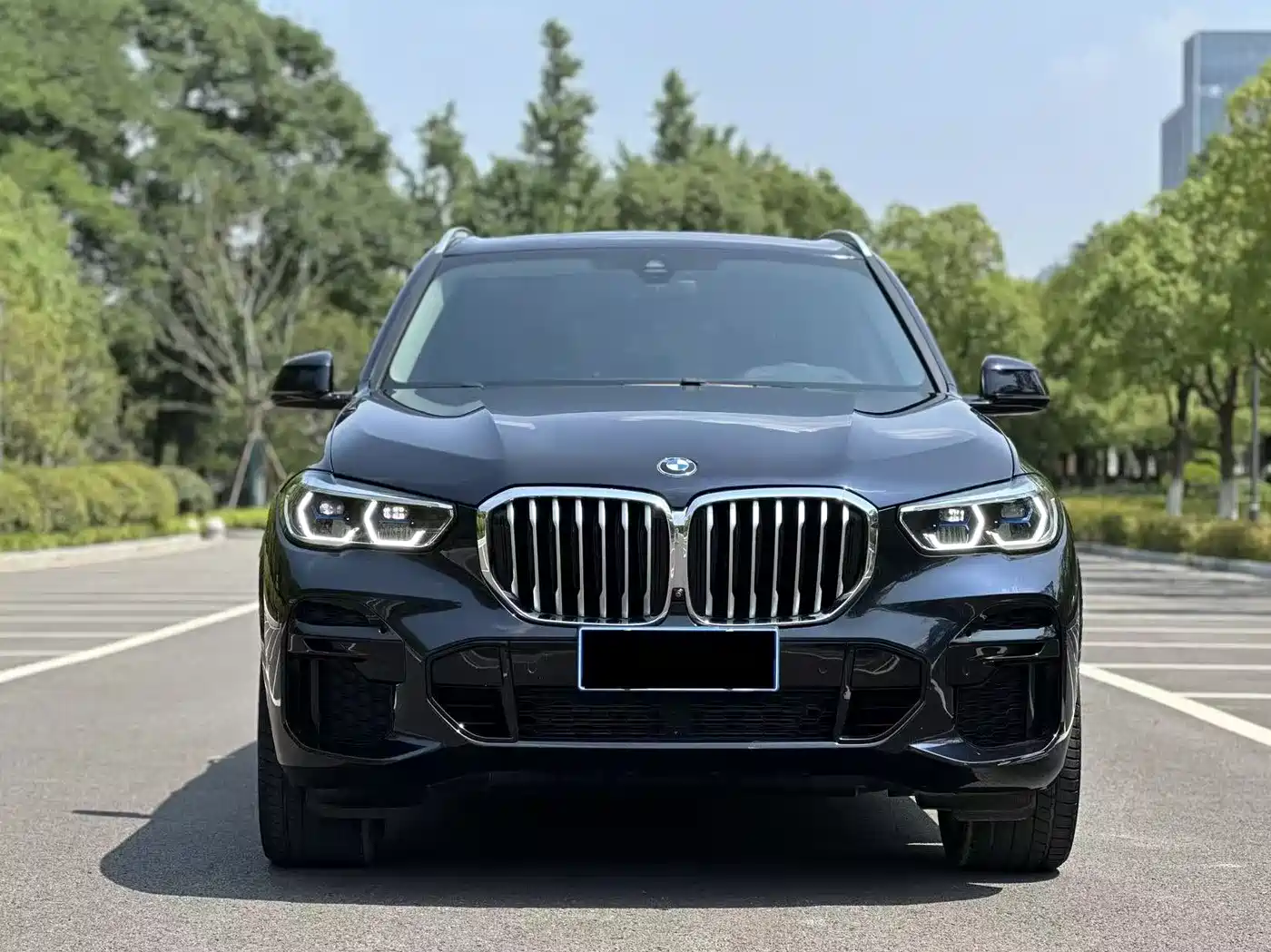 BMW X5 (Import) 2020 xDrive40i M Sport Package фото 2