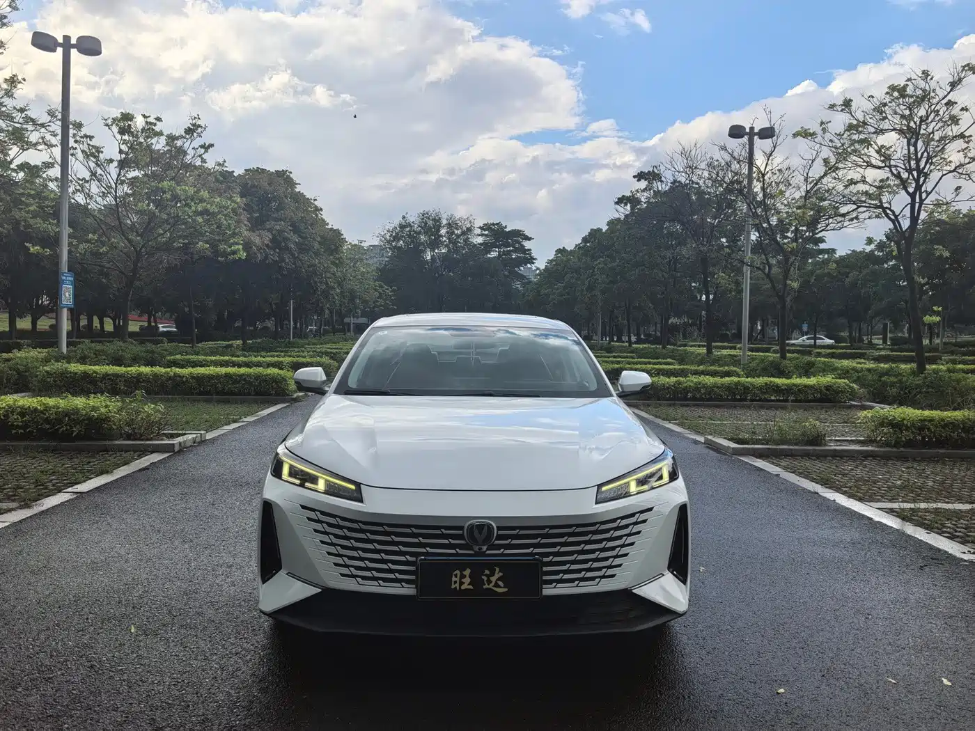 Changan Yida 2023 2023 Blue Whale NE 1.5T GDI DCT Exclusive