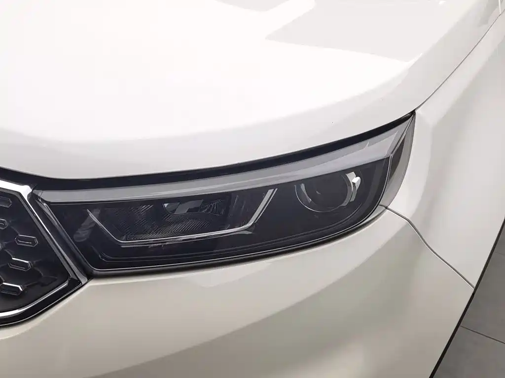 Ford Territory 2019 2019 EcoBoost 145 CVT Platinum Edition China V