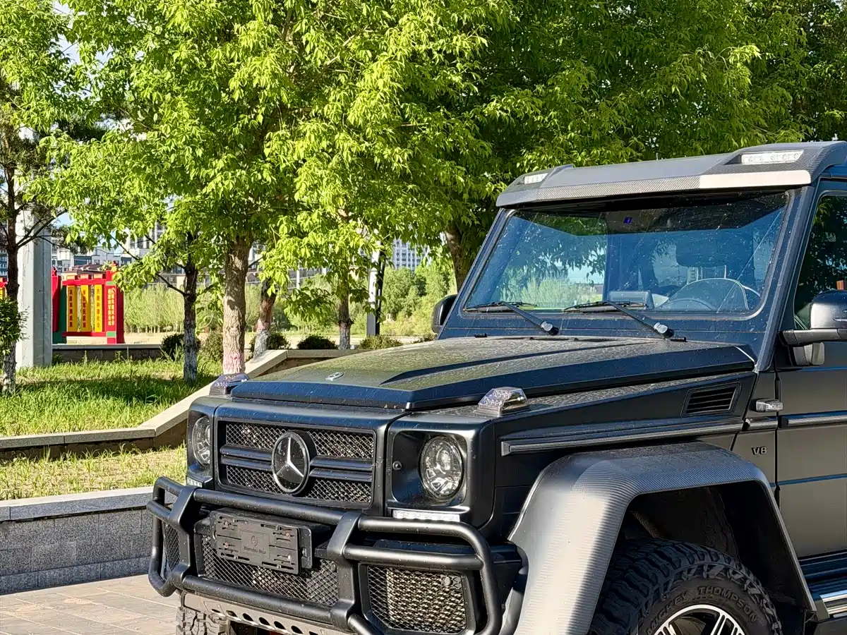 Mercedes-Benz G-Class 2017 G 500 фото 5