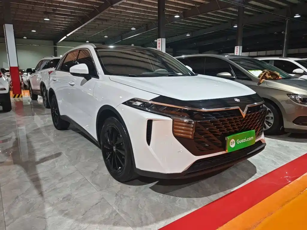 Venucia Big V 2022 2021 260T King Edition