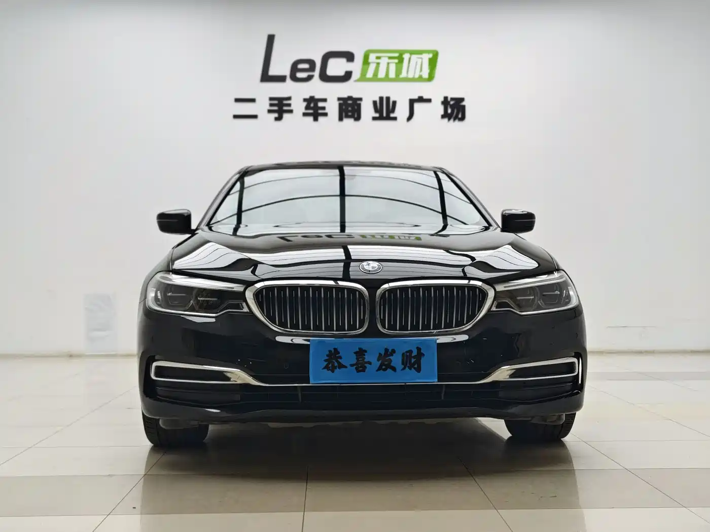 BMW 5 Series 2020 530Li Leading Luxury Package фото 2