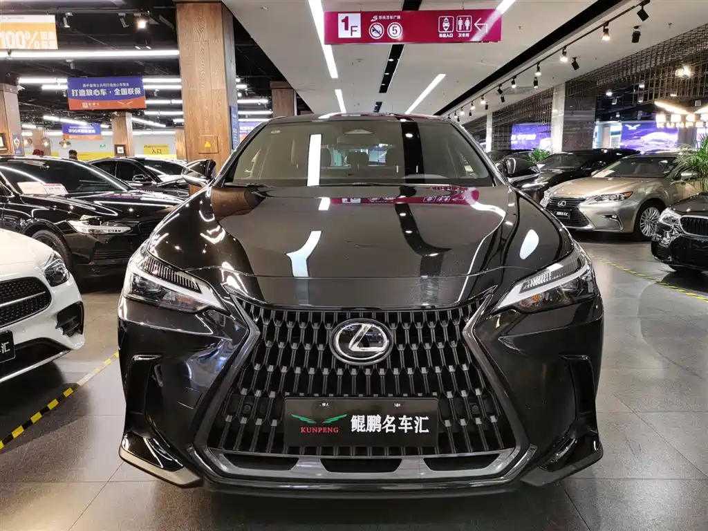 Lexus NX 2023 350h FWD Dynamic Edition фото 16
