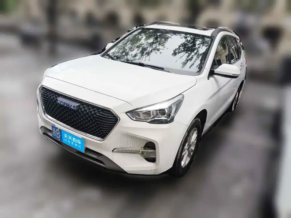 Фото 1 - Haval M6