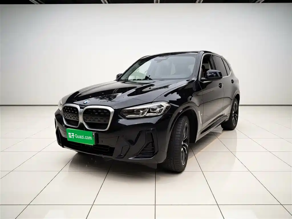 BMW iX3 2023 Leading Type