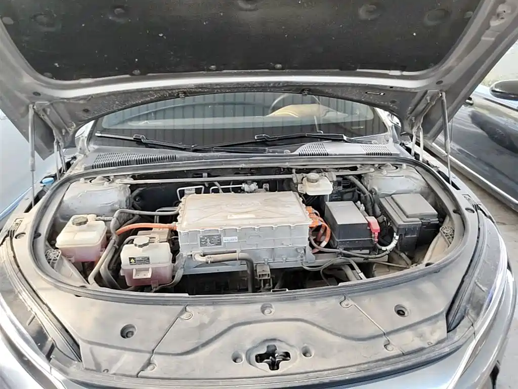 BYD Han 2021 EV Standard Range Luxury фото 20