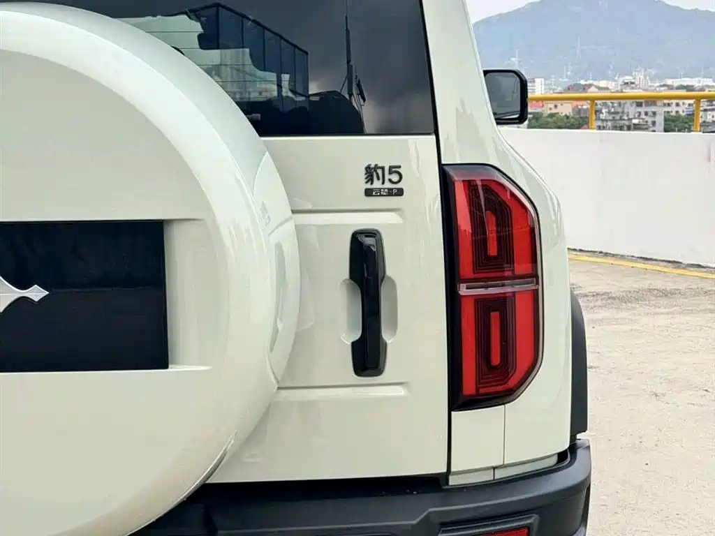 FANG CHENG BAO LEOPARD 5