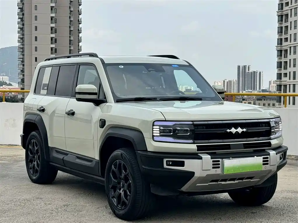 FANG CHENG BAO LEOPARD 5