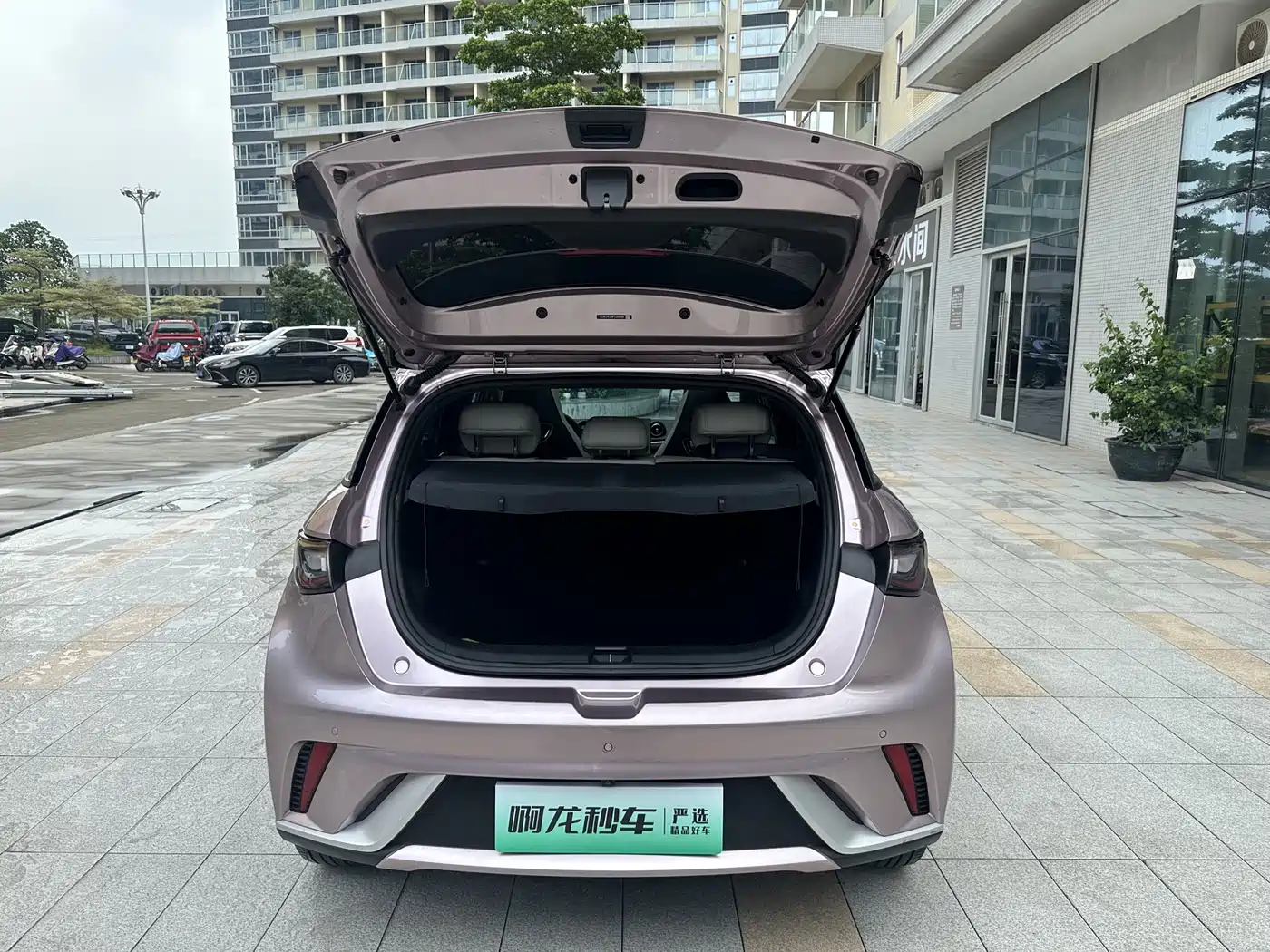 BYD Dolphin 2023 420km Fashion Edition фото 20