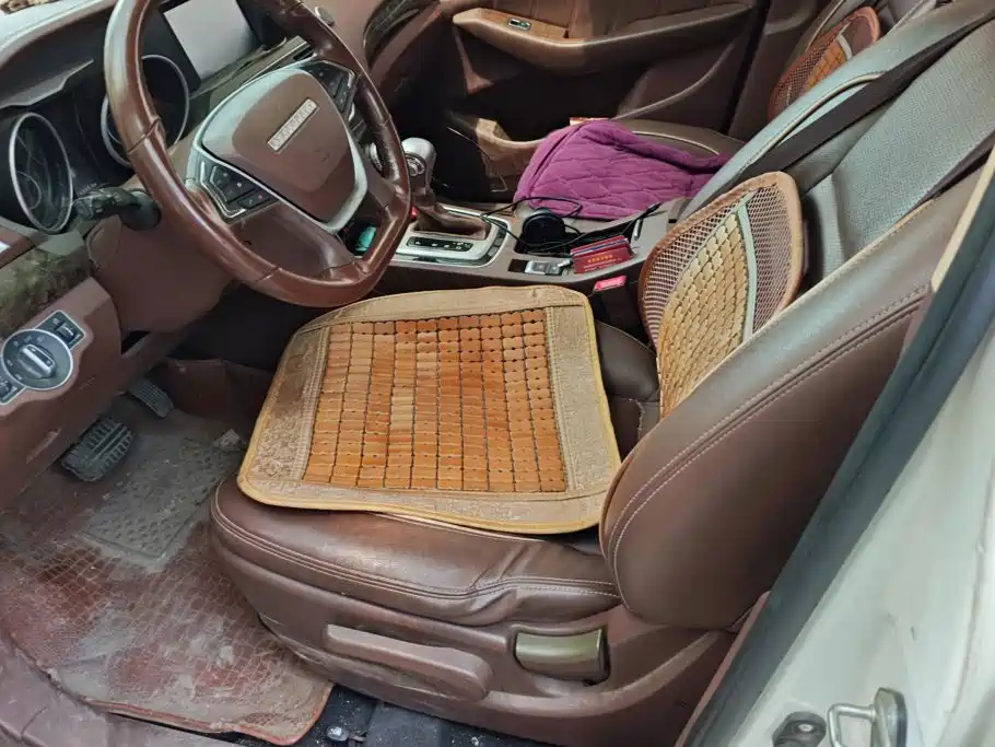 Leopaard CS10 2019 2017 Model 2.0T Automatic Urban Edition