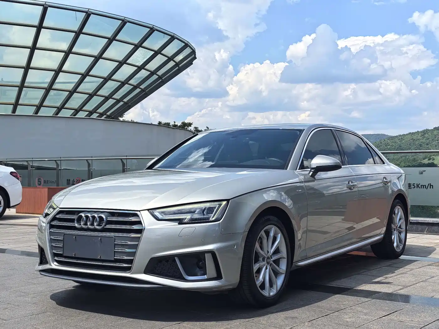 Audi A4L 2019 40 TFSI Fashion (China V)