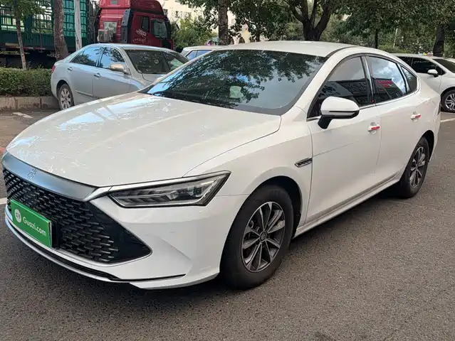 BYD Qin PLUS Слава, DM-i 55KM, Лидер