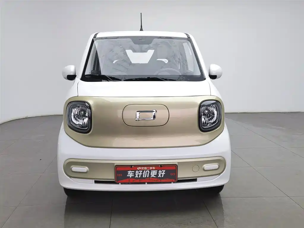 BESTUNE PENTIUM PONY