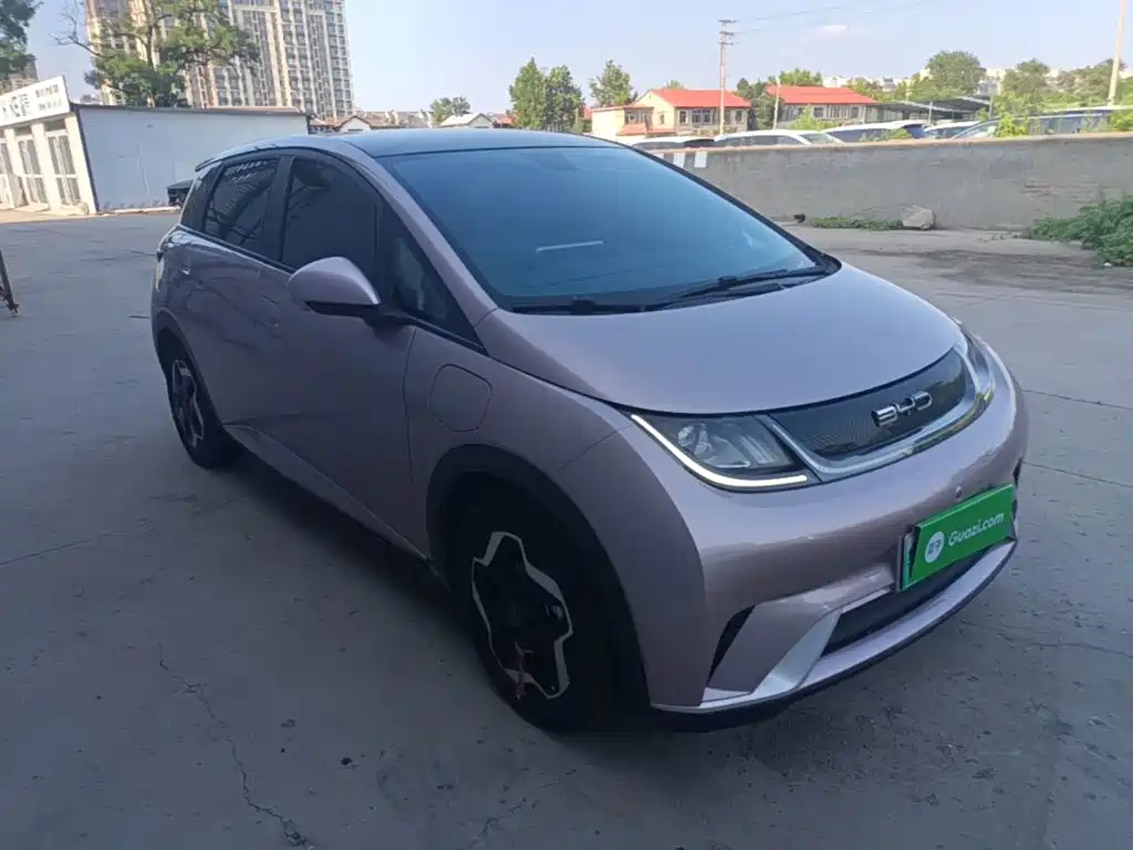 Фото 4 - BYD Dolphin