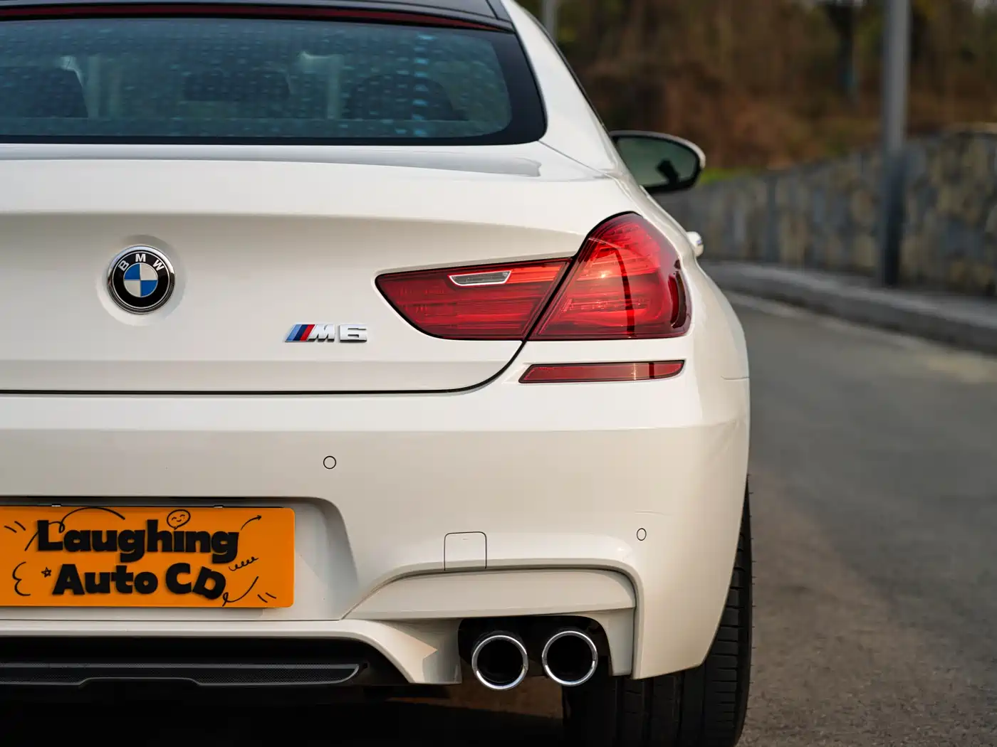 BMW M6 2013 M6 Gran Coupe фото 15