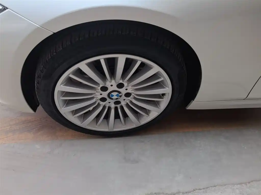 BMW 3 Series 2018 320Li Fashion Style фото 23
