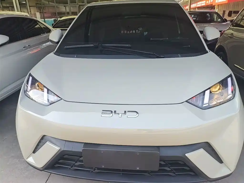 BYD Seagull 2024 Glory Edition 305km Vitality Edition фото 3