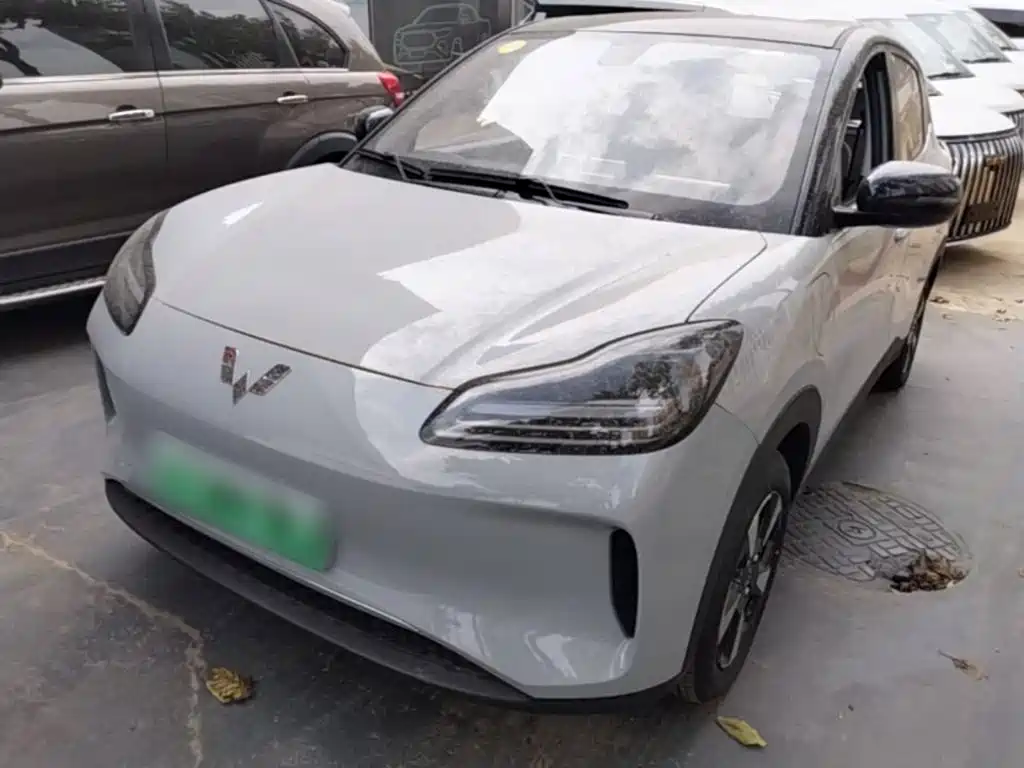 Wuling Motors Wuling Binguo PLUS 2026 2024 Model 330km 5-Seater