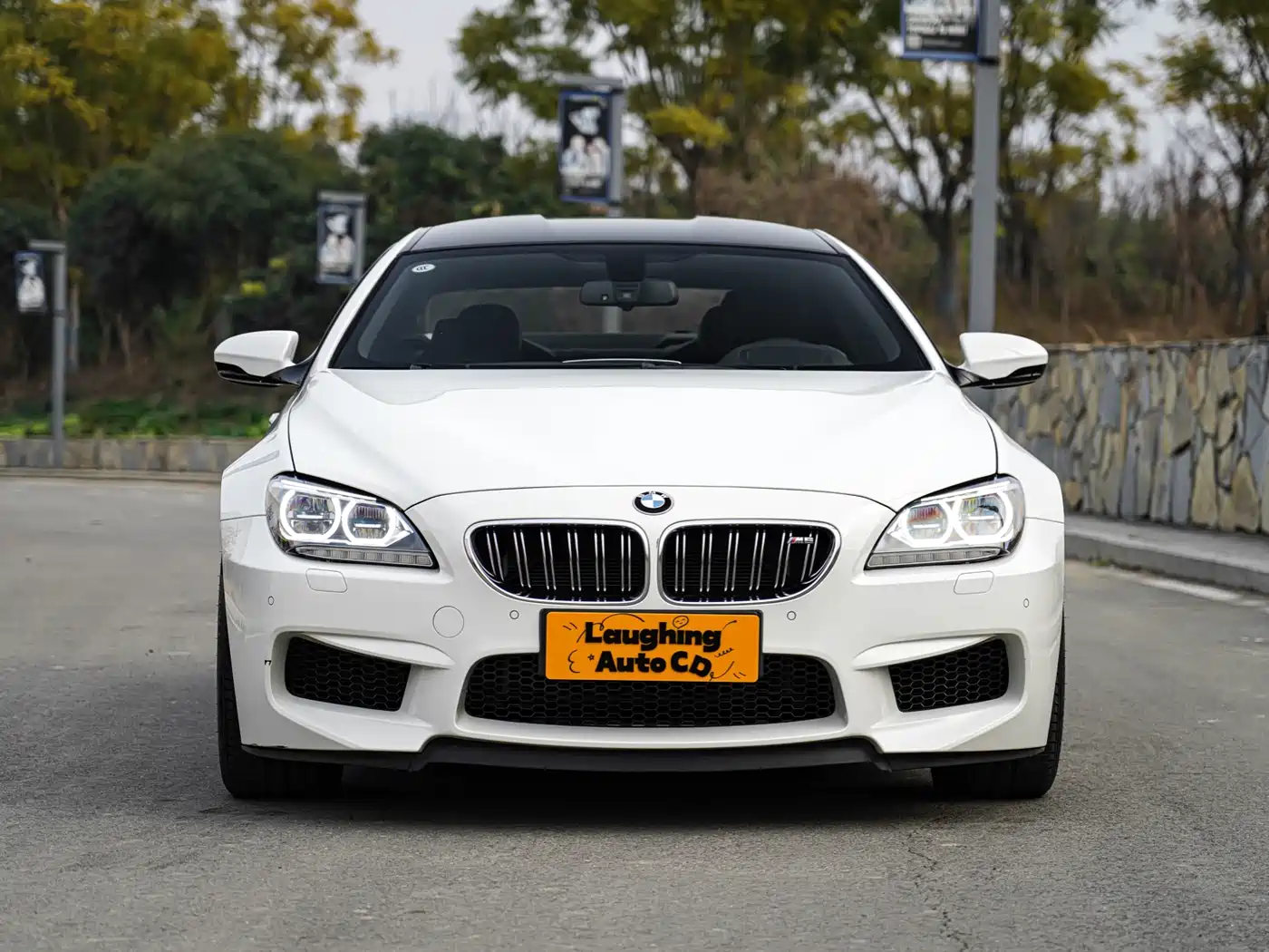 BMW M6 2013 M6 Gran Coupe фото 3