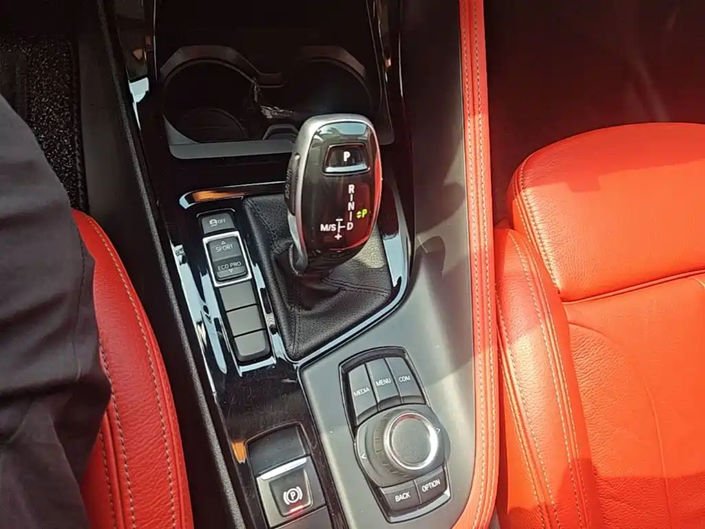 BMW X2 (Import) 2019 sDrive20i M Off-Road Package China VI фото 14