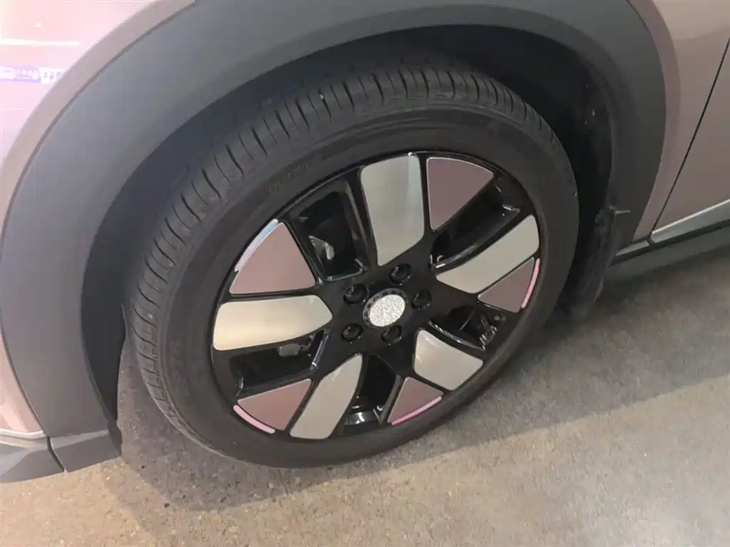 BYD Dolphin 2023 401km Knight Edition фото 23