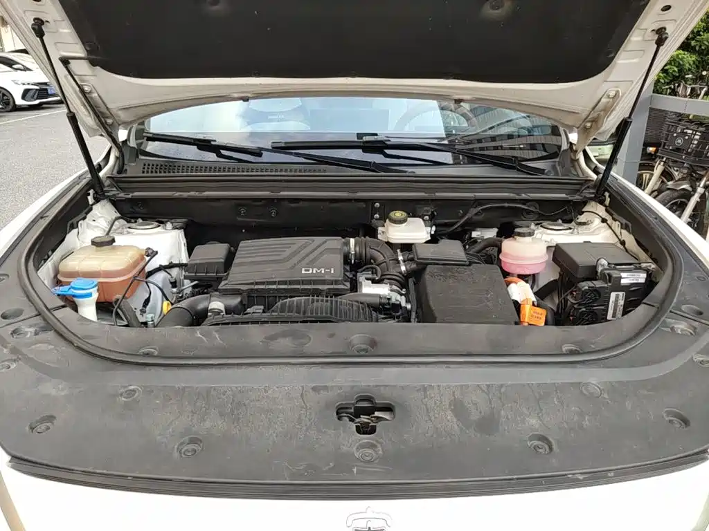 BYD Song Pro New Energy 2022 2022 DM-i 51km Premium