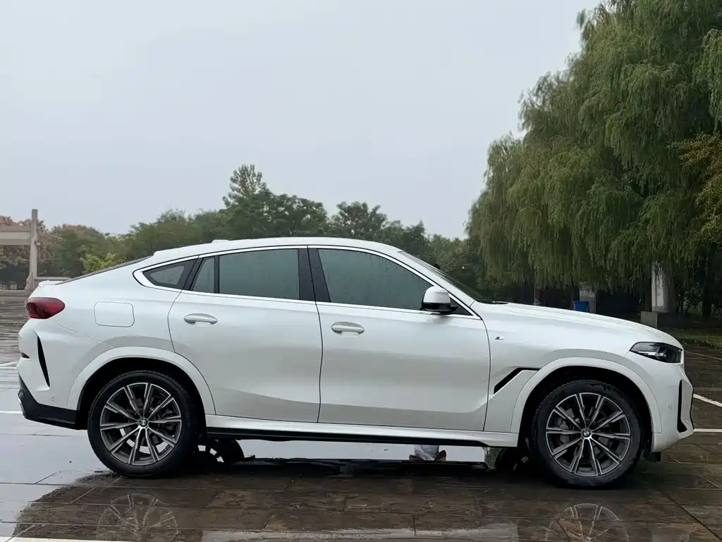 BMW X6 2024 2023 xDrive30i M Sport Package