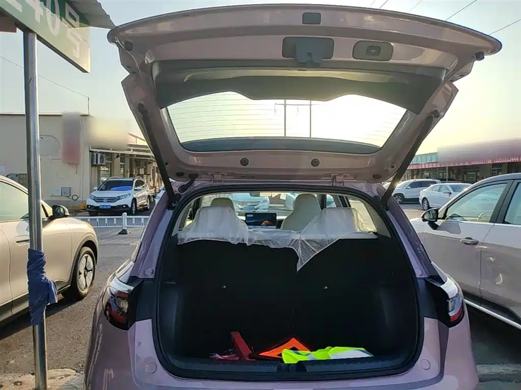 Geely Galaxy Starry Wish 2026 Model 310km Dream Edition фото 19