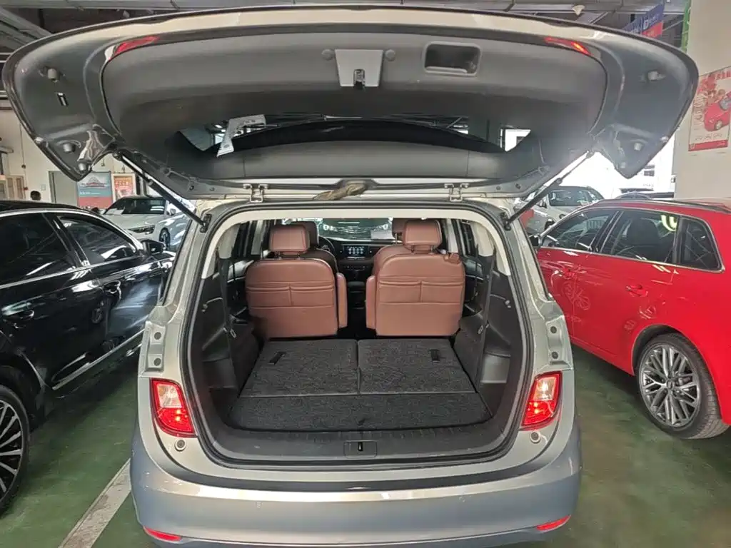 Фото 19 - Buick GL6
