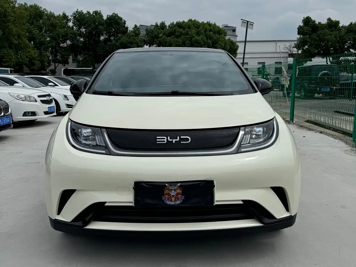 Фото 2 - BYD Dolphin