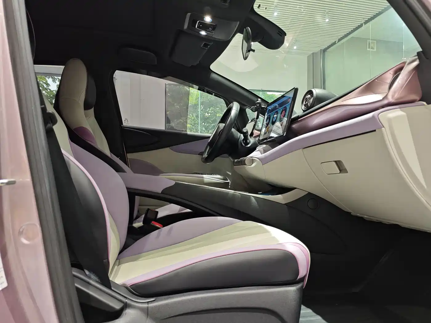 BYD Dolphin 2021 Model 405km Fashion Edition фото 26