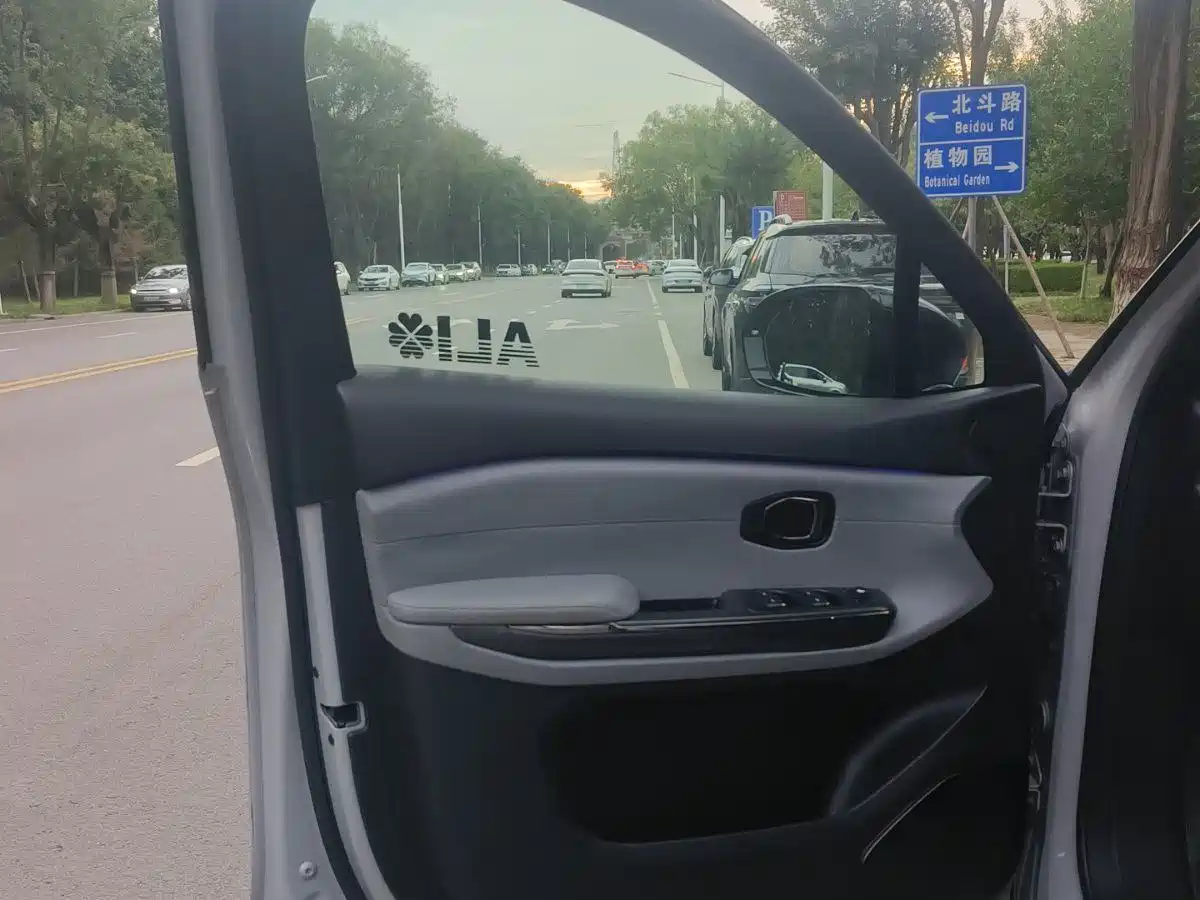 WEILAI ES6