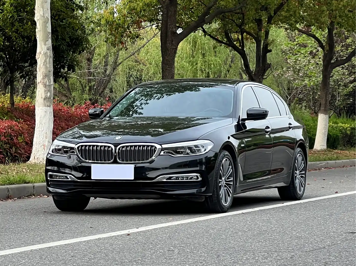 BMW 5 Series 2018 Facelift 530Li Exclusive Luxury Package