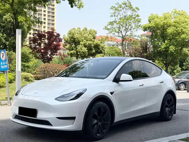 Tesla Model Y Задний привод